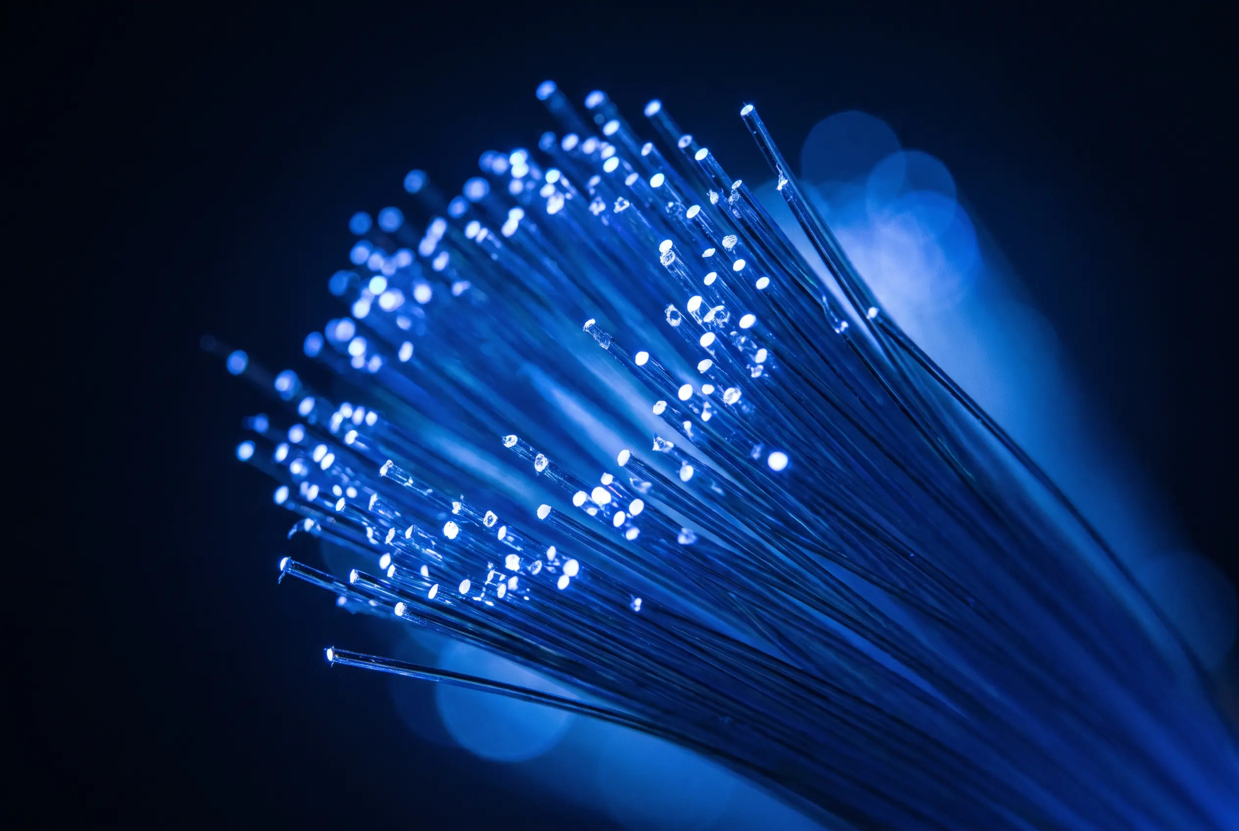 A spray of blue fibre-optic strands with glowing tips against a dark background